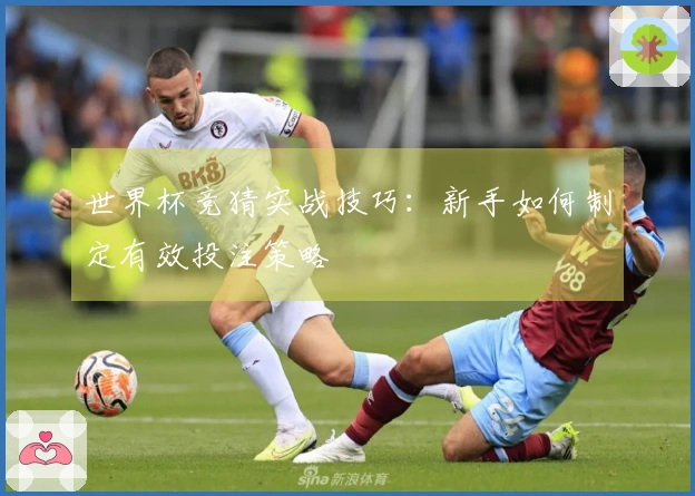 世界杯竞猜实战技巧：新手如何制定有效投注策略