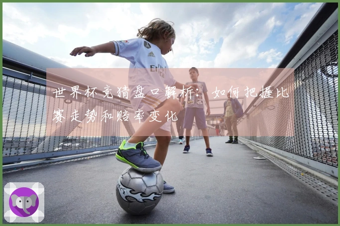 世界杯竞猜盘口解析：如何把握比赛走势和赔率变化