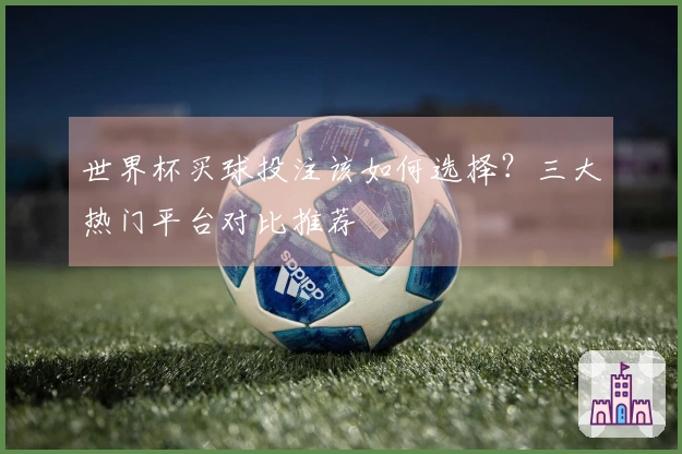 世界杯买球投注该如何选择？三大热门平台对比推荐