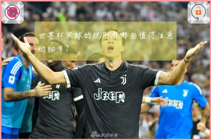 世界杯买球的规则有哪些值得注意的细节？