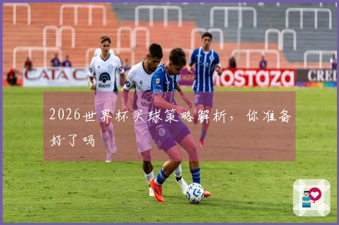 2026世界杯买球策略解析，你准备好了吗