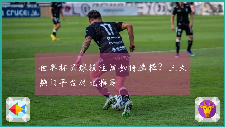 世界杯买球投注该如何选择？三大热门平台对比推荐