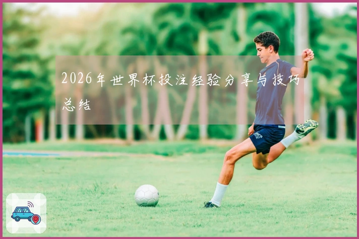 2026年世界杯投注经验分享与技巧总结