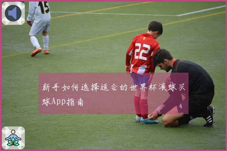 新手如何选择适合的世界杯滚球买球App指南