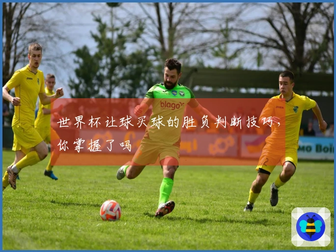 世界杯让球买球的胜负判断技巧，你掌握了吗