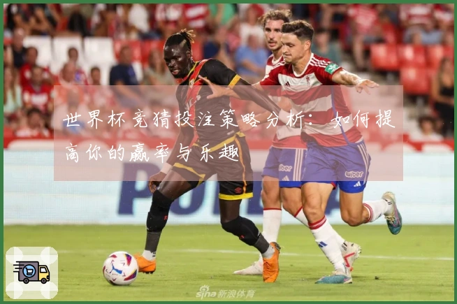 世界杯竞猜投注策略分析：如何提高你的赢率与乐趣