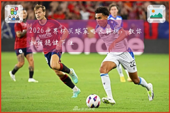 2026世界杯买球策略大解析，教你如何稳健下注