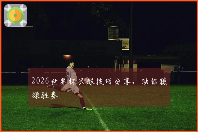 2026世界杯买球技巧分享，助你稳操胜券