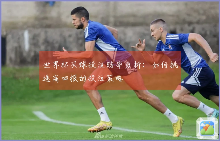 世界杯买球投注赔率分析：如何挑选高回报的投注策略