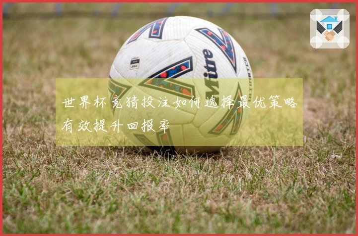 世界杯竞猜投注如何选择最优策略有效提升回报率