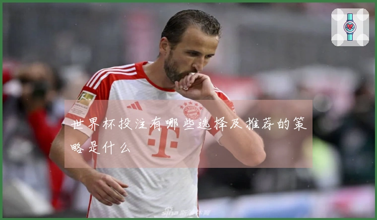 世界杯投注有哪些选择及推荐的策略是什么