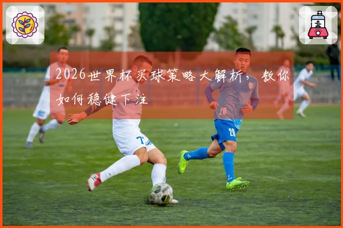 2026世界杯买球策略大解析，教你如何稳健下注