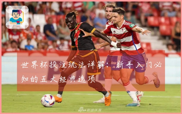 世界杯投注玩法详解：新手入门必知的五大经典选项