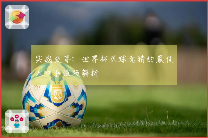 实战分享：世界杯买球竞猜的最佳入口和技巧解析
