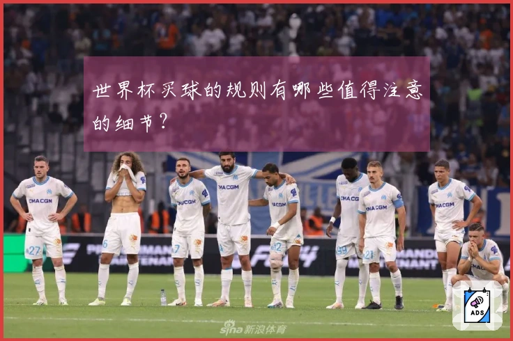 世界杯买球的规则有哪些值得注意的细节？