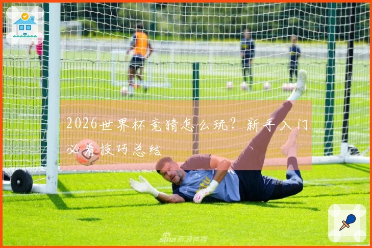 2026世界杯竞猜怎么玩？新手入门必看技巧总结