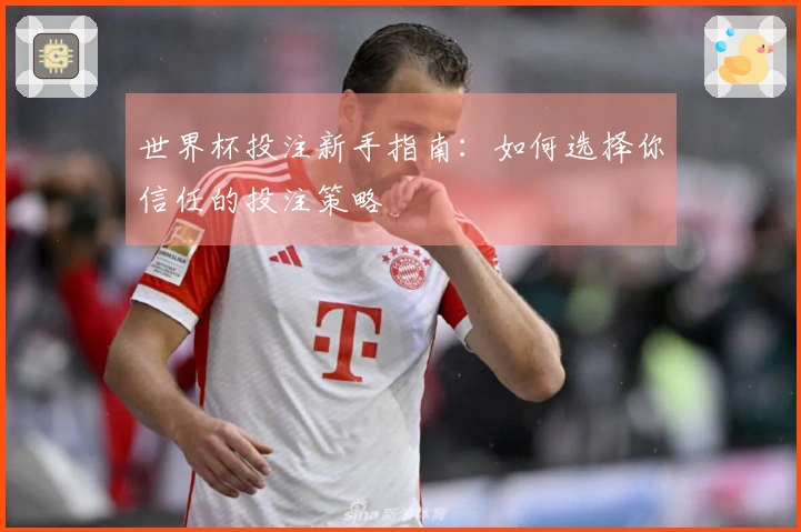 世界杯投注新手指南：如何选择你信任的投注策略