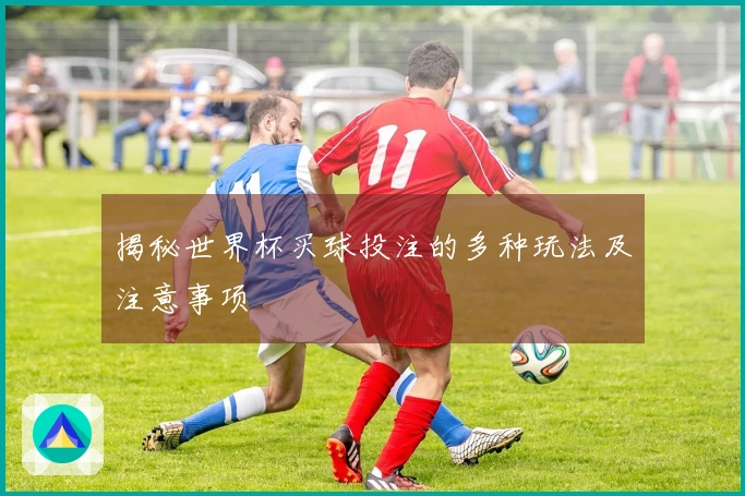 揭秘世界杯买球投注的多种玩法及注意事项