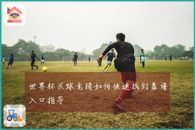 世界杯买球竞猜如何快速找到靠谱入口指导