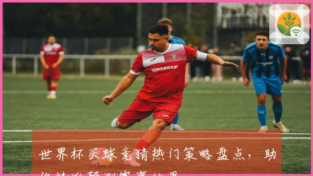 世界杯买球竞猜热门策略盘点，助你精准预测赛事结果